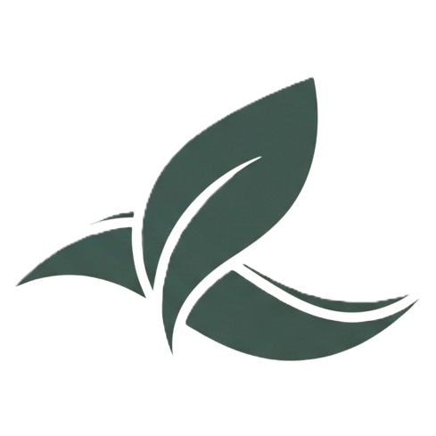 Vitality In Everyday